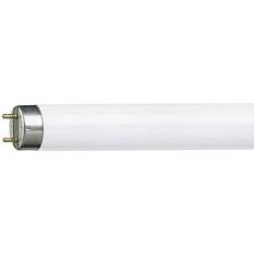 Lysstofrør 36w Edm Bellight loisteputki T8 3250lm 36W/865 G13, 1200mm