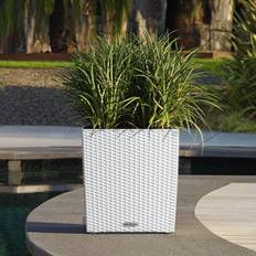 Pots, Plantes et Cultivation Lechuza Cube Cottage 40 All-In-One Blanc White