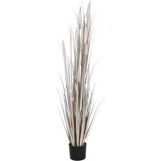 Dkd Home Decor plante Siv 45 45 Billede