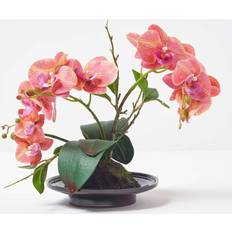 Céramique Plantes Artificielles Homescapes Coral Orchid Phalaenopsis Plante Artificielle