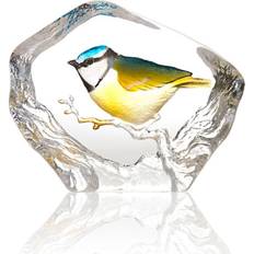 Wildlife Blåmes