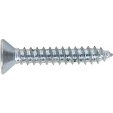 ST4225 Tapping Screw 4.2