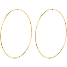 Pilgrim Øreringe Pilgrim Sanne Hoop Earrings - Gold