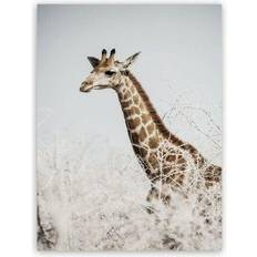 Estancia Giraffe Tavla 50x70cm
