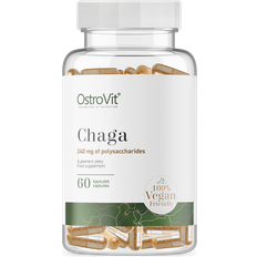 OstroVit Chaga 240mg 60 pcs