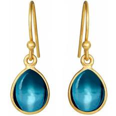 Drop Earrings - Gold/Blue