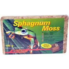 Sphagnum moss Lucky Reptile Sphagnum Moss 100g