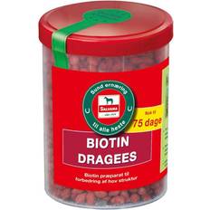 Equidan Salvana Biotin Dragee 750g