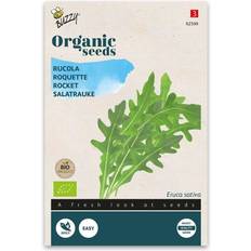 Buzzy® frø - Rucola Grøntsagsfrø