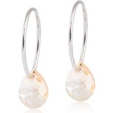 Smycken Blomdahl Drop Earrings - Silver/Transparent