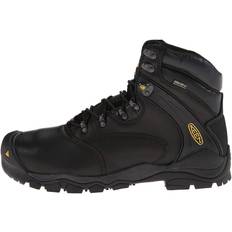 Shoes Men's KEEN Louisville 6" WP Steel Toe Work Boots