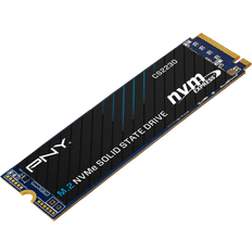 CS2230 M.2 NVMe SSD 1TB