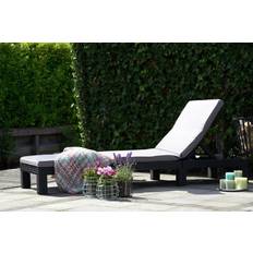 Deluxe sun lounger Keter Daytona Deluxe Sun Lounger