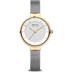 Bering solar Bering Solar (14631-024)