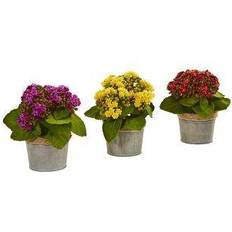 Nearly Natural Artificial Kalanchoe Arrangement Decorative Item 3