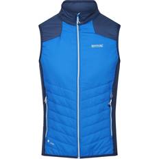 Regatta Halton VI Gilet Chauffant Léger Pour Homme Bleu