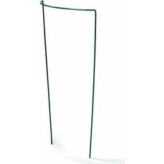 Support Green