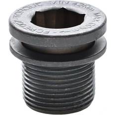 Campagnolo Kranksæt Campagnolo Bolt Til SR U-T TI Rev Thread Crank Fixing Bolt