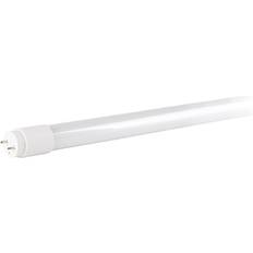 Müller Licht FP Tubo Led T8 16.5 W 2000 lm 3000 K 1200 mm Vidrio