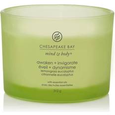 Chesapeake Bay Candle Lemongrass Eucalyptus Duftkerzen 312g