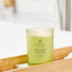 Chesapeake Bay Candle Chesapeake Bay Scented candle with wooden lid Eucalyptus Duftlys 104g
