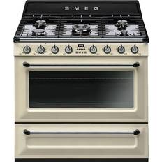 El & Gasugnar Spisar Smeg VICTORIA TR90P2 GASSPIS