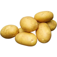 Bintje Læggekartofler 1,5 Kg. Sen