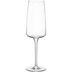 Dishwasher Safe Champagne Glasses Bormioli Rocco Planeo Flute Champagne Glass 24cl 4pcs