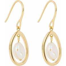 Fiorelli Floating Freshwater Pearl Yellow Gold Plating Drop Earrings E6230W