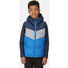 Gehen & Wandern - Jungen Westen Regatta Lofthouse Kids Walking Hooded Bodywarmer