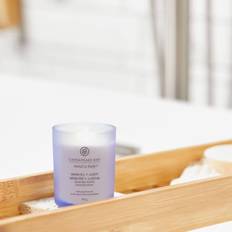 Chesapeake Bay Candle Chesapeake Bay Small Jar Serenity & Scented Candle