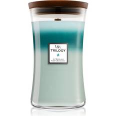 Woodwick Icy Woodland Bougie Parfumée 609.5g