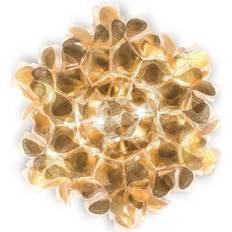 Clizia Lamp/Wall