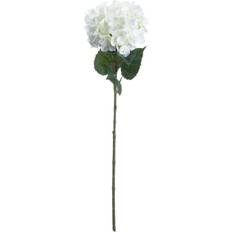 Blanc Plantes Artificielles Hill Interiors Single Hydrangea Flower L10 W18 Plante Artificielle