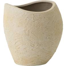 Plantas flower pot
