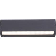 Paul Neuhaus Lighting Paul Neuhaus Robert LED Outdoor 18W Anthracite Wall light