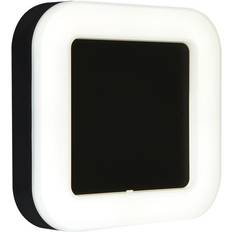 Briloner Riga LED Udendørslampe 19 x 19 cm IP44 Sort Vægarmatur