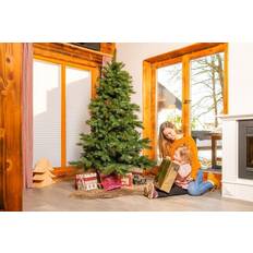 Weihnachtsbäume Evergreen Evergreen Mesa Fichte Weihnachtsbaum