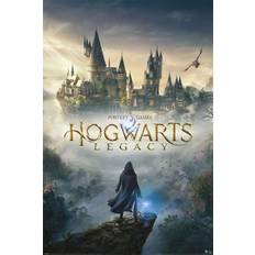 Legacy brugskunst Harry Potter Hogwarts Legacy Pack Wizarding World Plakat