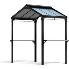 Pavillons Palram Canopia Abri Barbecue Austin 180 x 284 cm Aluminium Noir