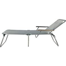 Silver Sun Beds Garden & Outdoor Furniture Jan Kurtz Fiam Amigo