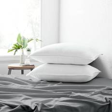 Home Collection 2-Pack Down Pillow