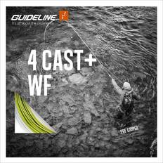 Guideline 4 Cast WF #7