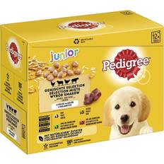 Pedigree Kuivaruoka Lemmikit Pedigree Junior Pouch 48 x 100g Koiranruoka