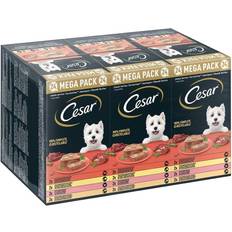Cesar Country Stew Dog Food 24 x 150 g