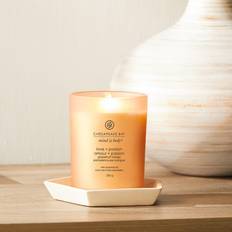 Mango Duftlys Chesapeake Bay Candle CBC Medium Love & Passion Duftlys