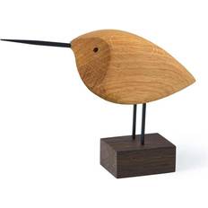 Beak Bird Awake Snipe