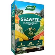 Seeds Westland Seaweed Enhanced Plant Growth Stimulant