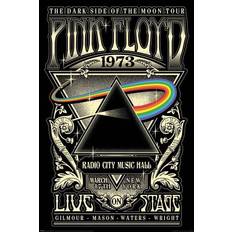 Pyramid Pink Floyd 1973 Poster