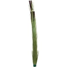 Europalms Siv Med Dunhammere. Lysegrøn. Cm. Kunstig plante